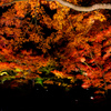 ライトアップ紅葉