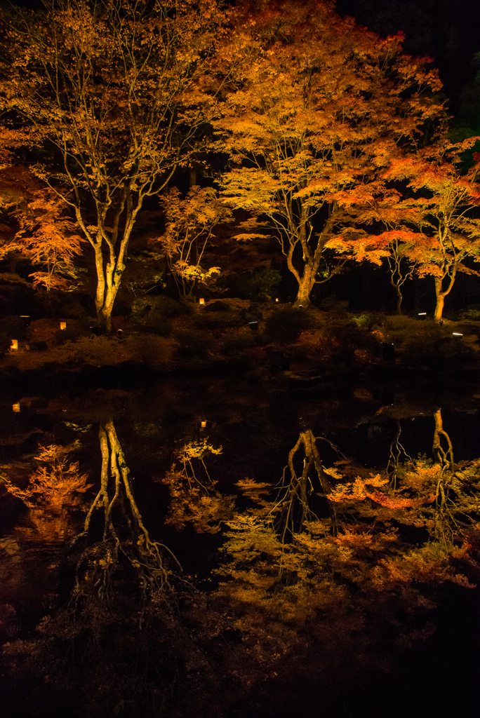 水面の紅葉