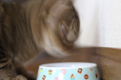 荒ぶる食事