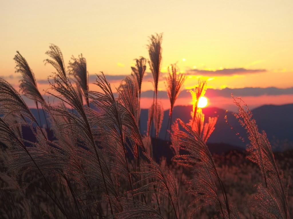 高原の夕日