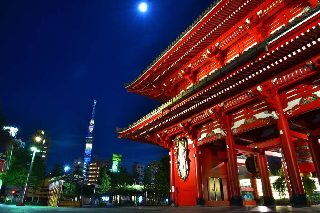 調和する満月の夜