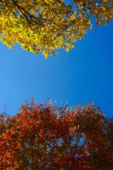 赤と黄と青