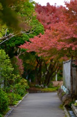 徳川園