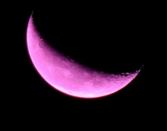 Pink moon 2