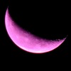Pink moon 2