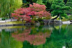 紅一点
