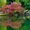 紅一点
