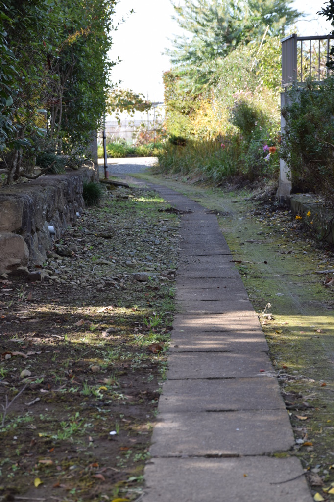 通学路