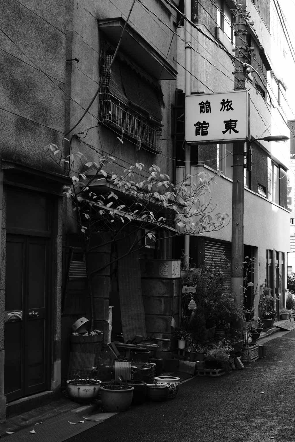 秋葉原
