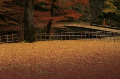 秋の鰐淵寺
