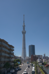 近くだとデカいな