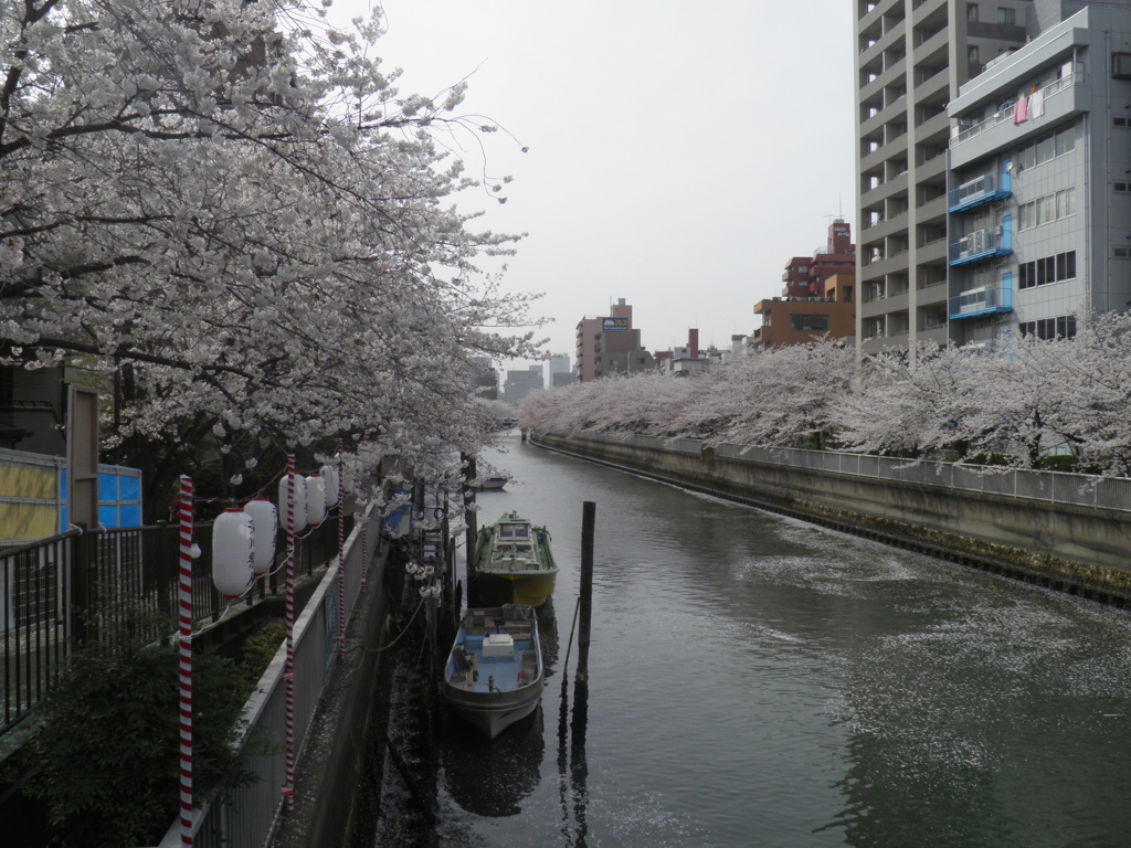 仙台堀川