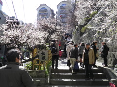 湯島天神