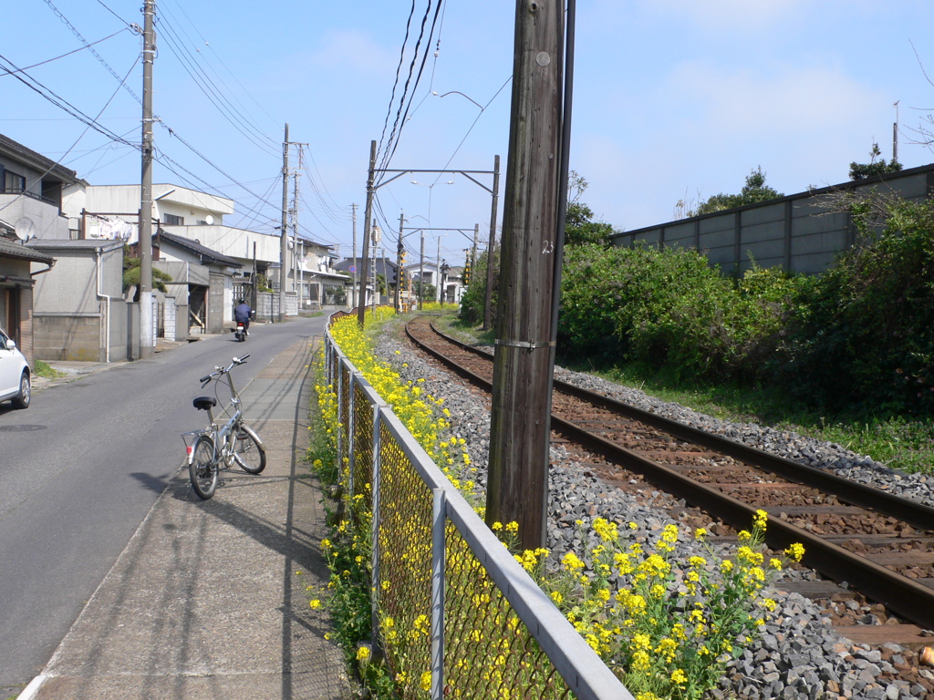 線路と菜の花