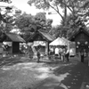 大鳥神社