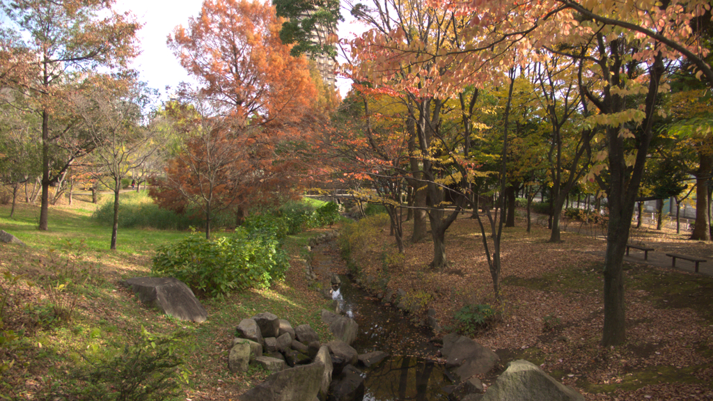 猿江公園１