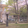 上野公園散歩