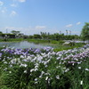 佐原水生植物園