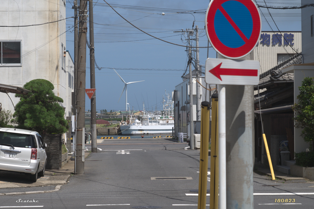 陸と海と風と