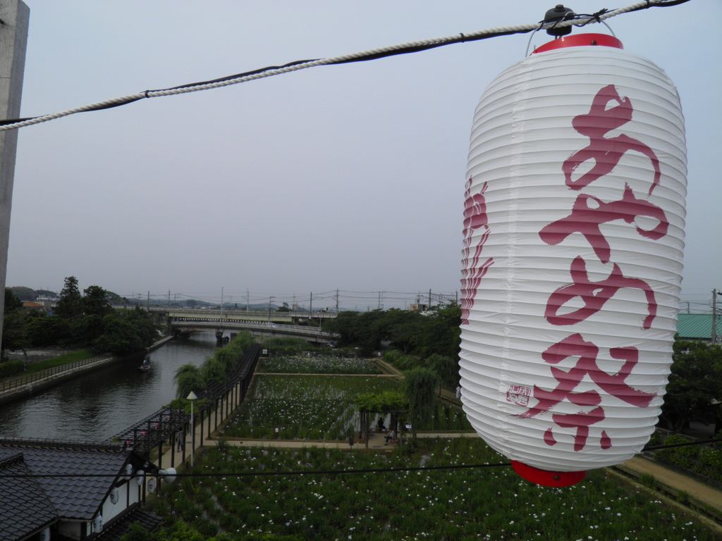 あやめ祭り