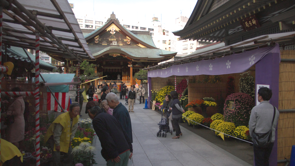 湯島天神・菊まつり