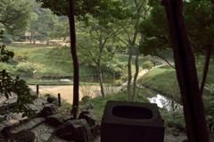 小石川後楽園山の上から