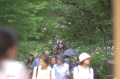 松戸・本土寺