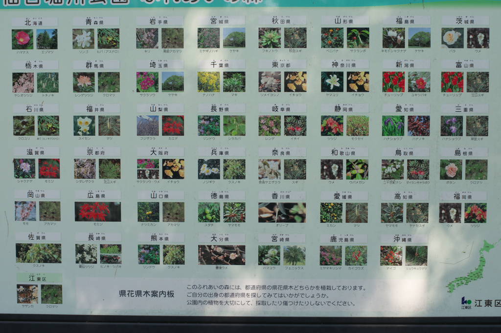 県花県木（保存版だね）
