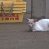 大漁船まだぁ？