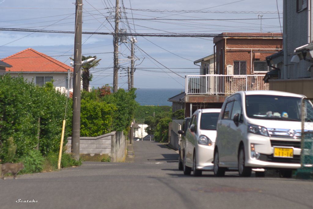 海の見える街