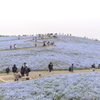 ひたち海浜公園