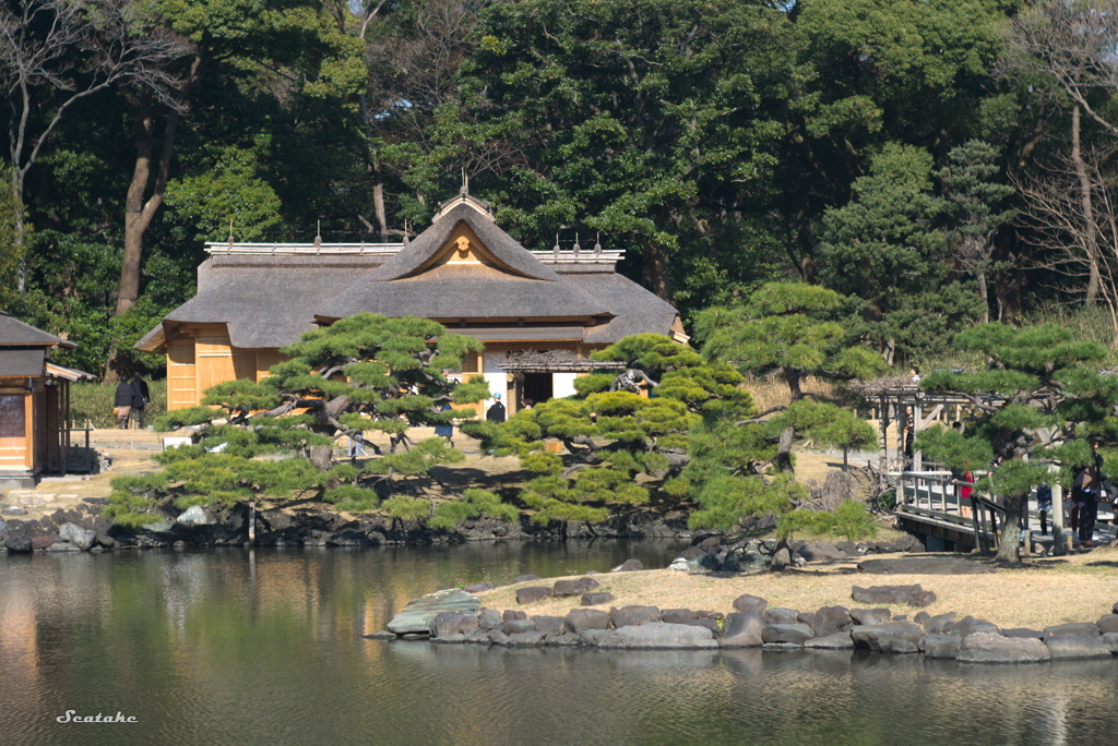 浜離宮・鷹のお茶屋
