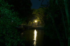 対岸の灯り