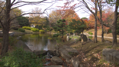 猿江公園２