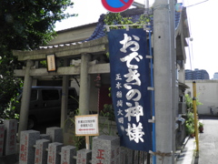 素肌美人に