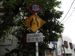 蛇道入口