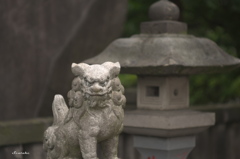神田明神４