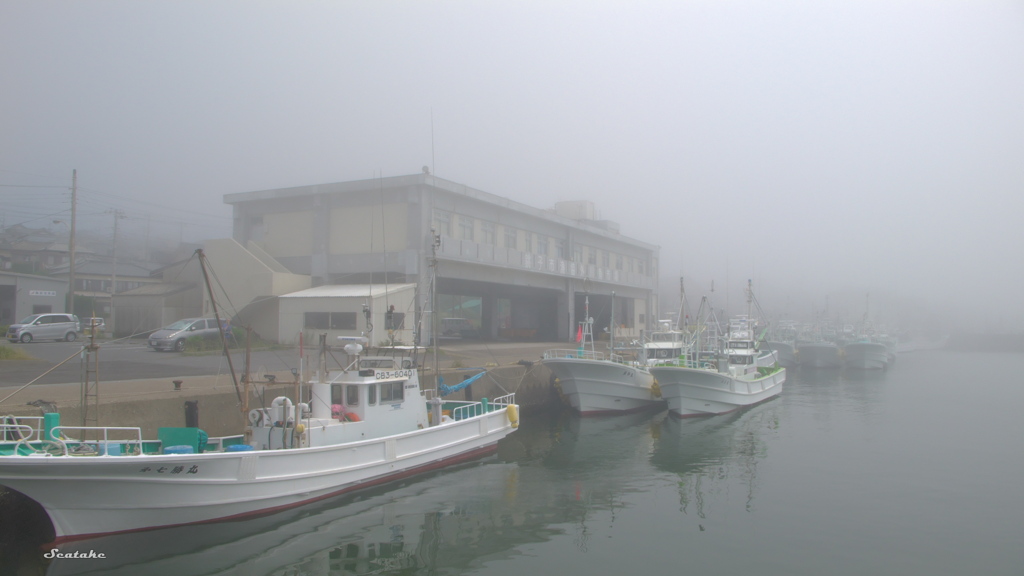霧の漁港