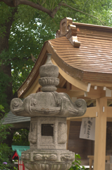新しい屋根