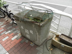 金魚鉢