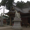 大きいキツネ