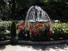 里見公園のバラ