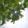 170506P1000865