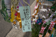 日本の宝