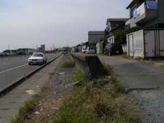 砂浜のなごり