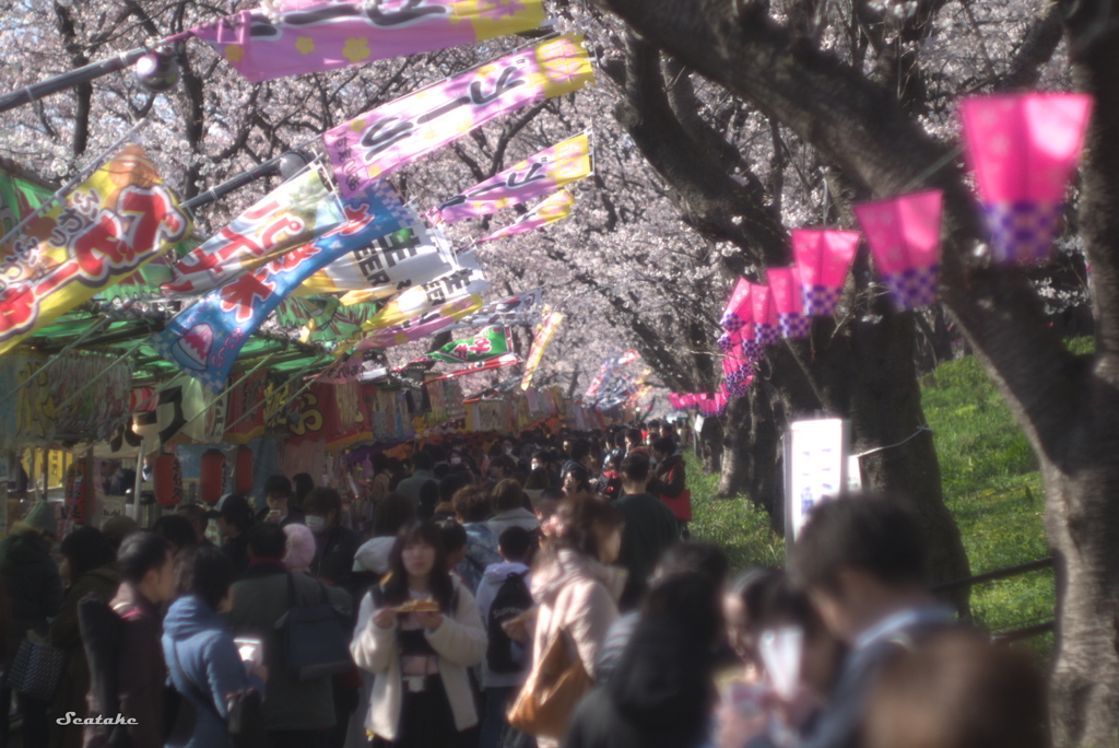権現堂公園・露店