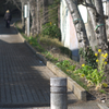 山の公園
