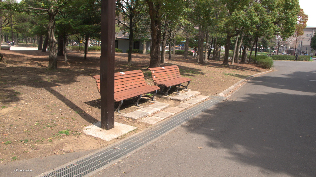 木場公園・ベンチＡ