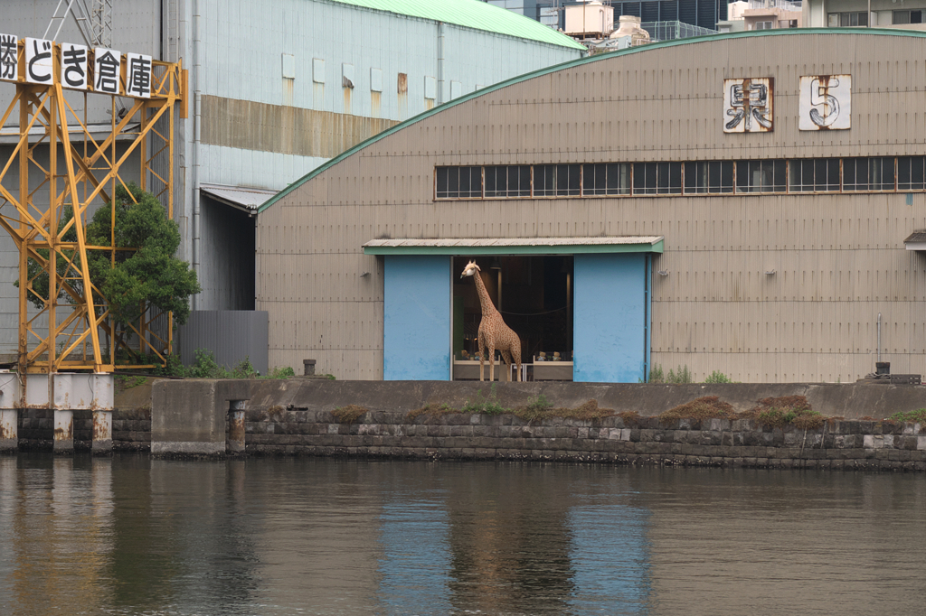 動物園風倉庫