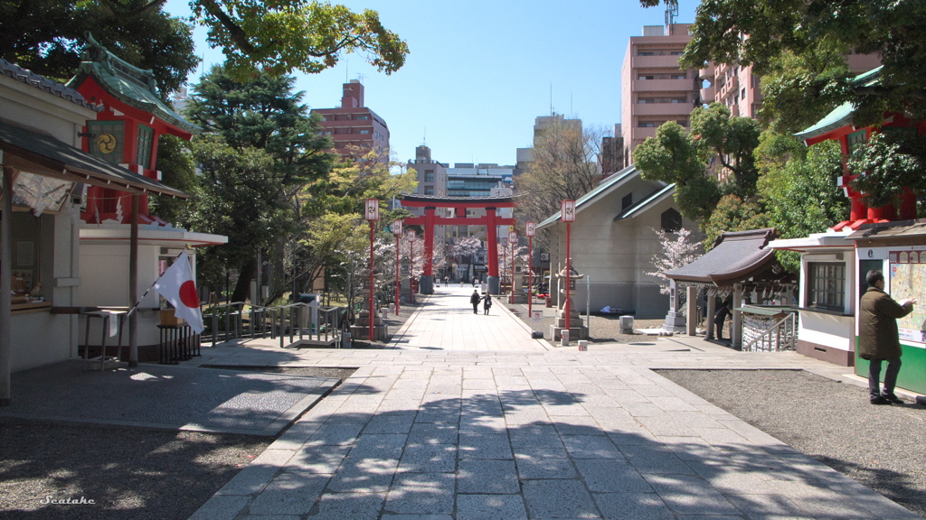 富岡八幡・参道